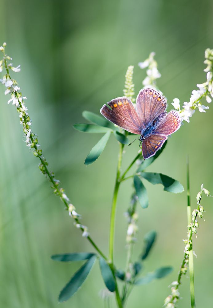 Photograph by Яна Соболева