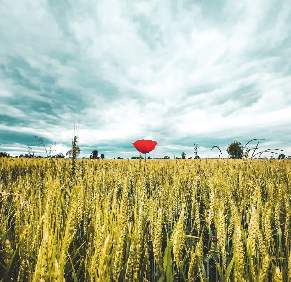 Photograph by Roberto Luigi