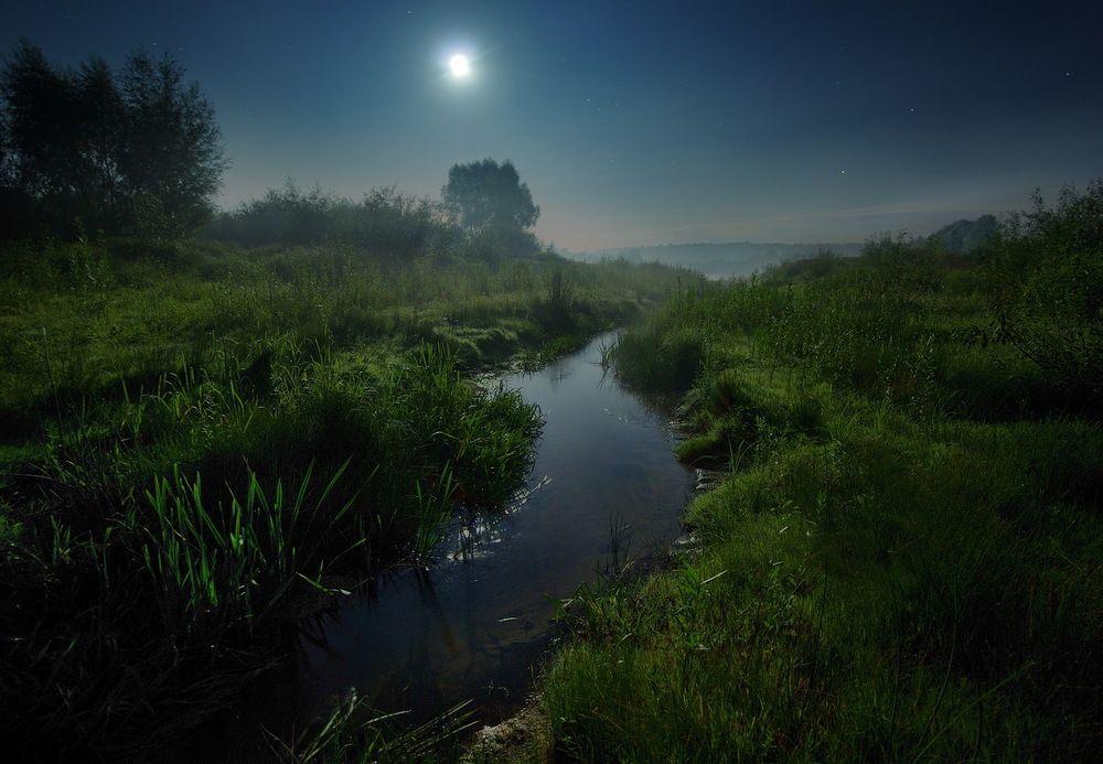 Photograph by Сергей Шляга