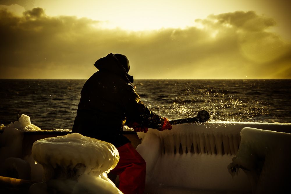 Photograph by Алексей Перегудин