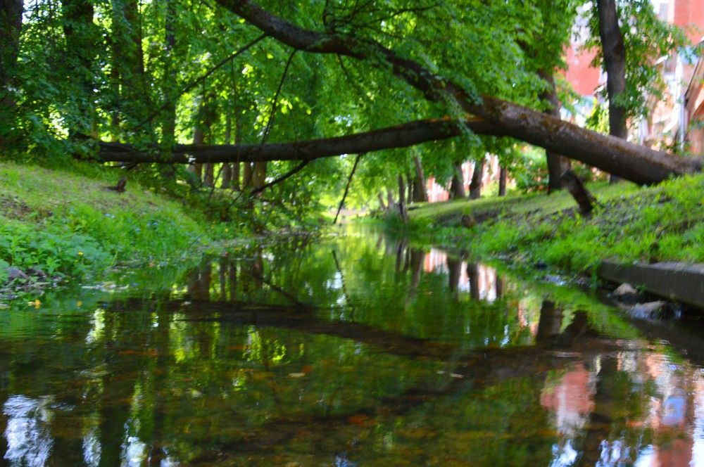 Photograph by Ольга Шевцова