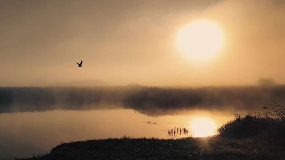 Photograph by Андрей Иванов
