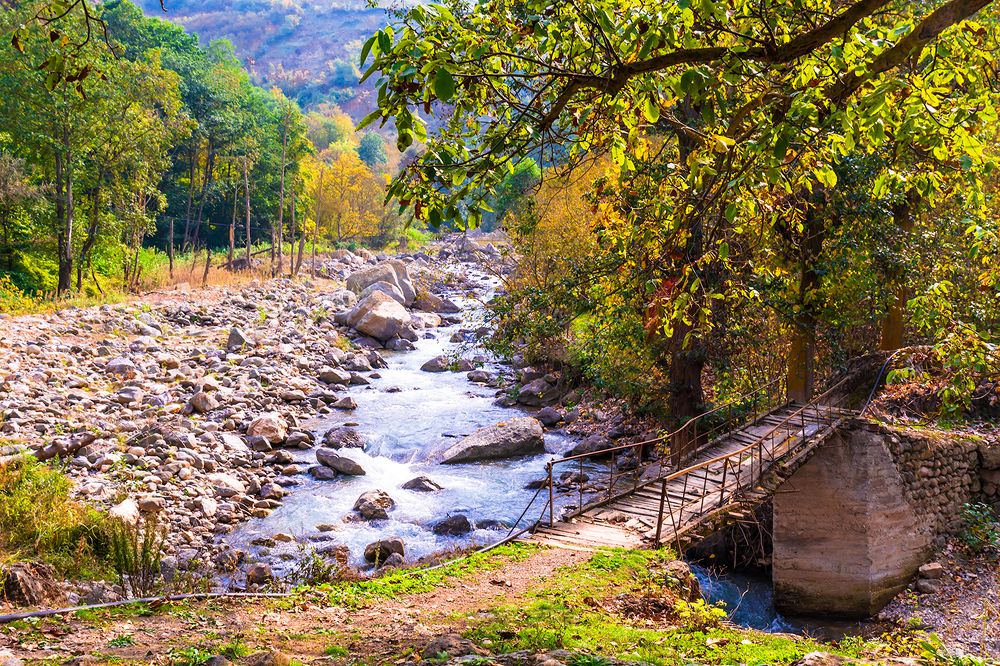 Фотография автора Majid Varasteh