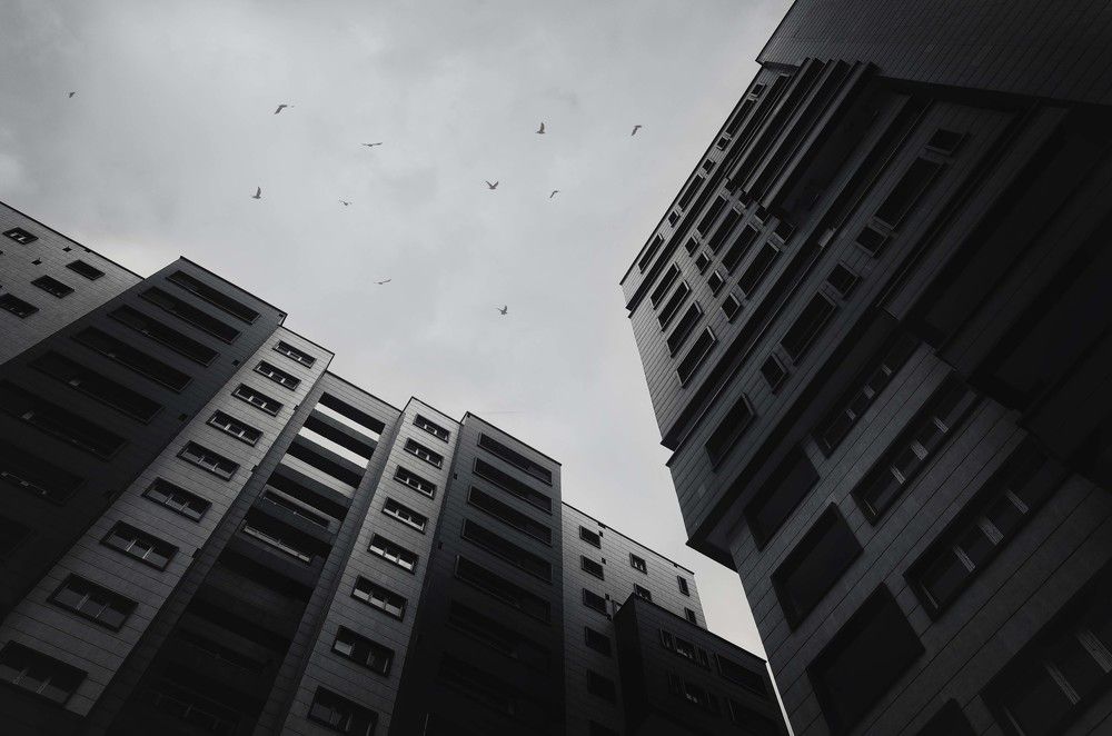 Photograph by Fatemeh(Banafsheh) Pishkhan