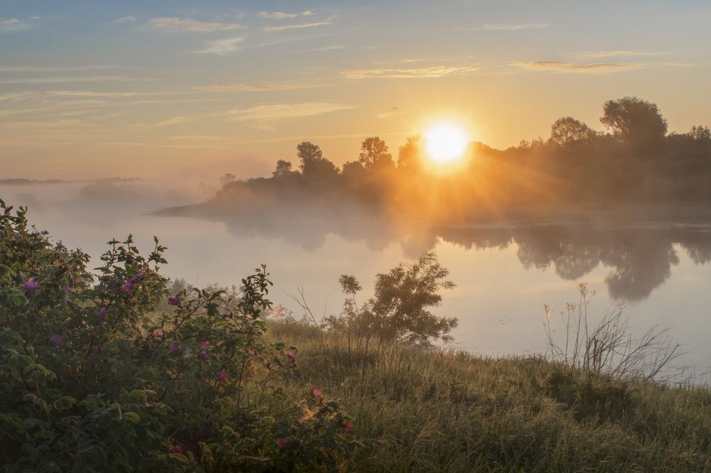 Photograph by Галина Луценко