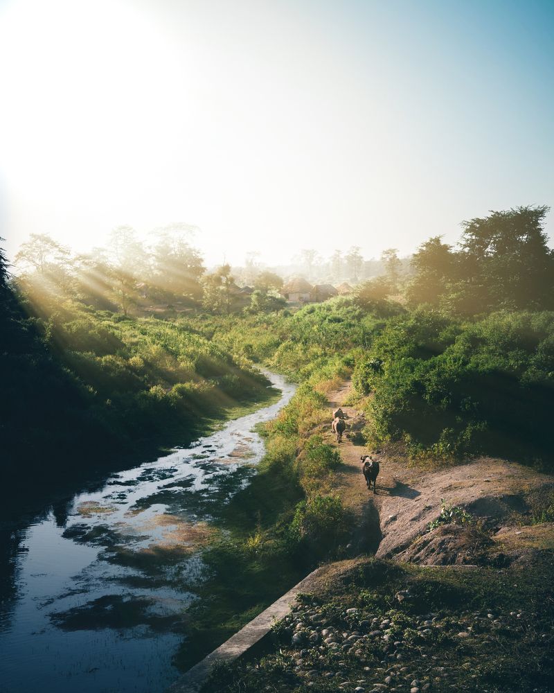 Photograph by Sudhanshu Banotiya