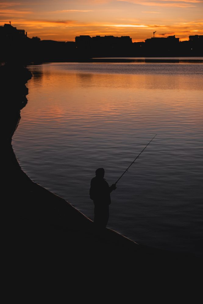 Returning to basics in a big city