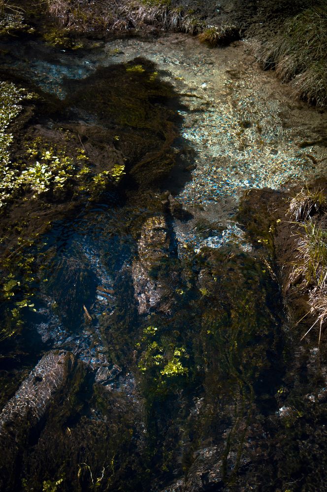 Photograph by Асель Тойдонова