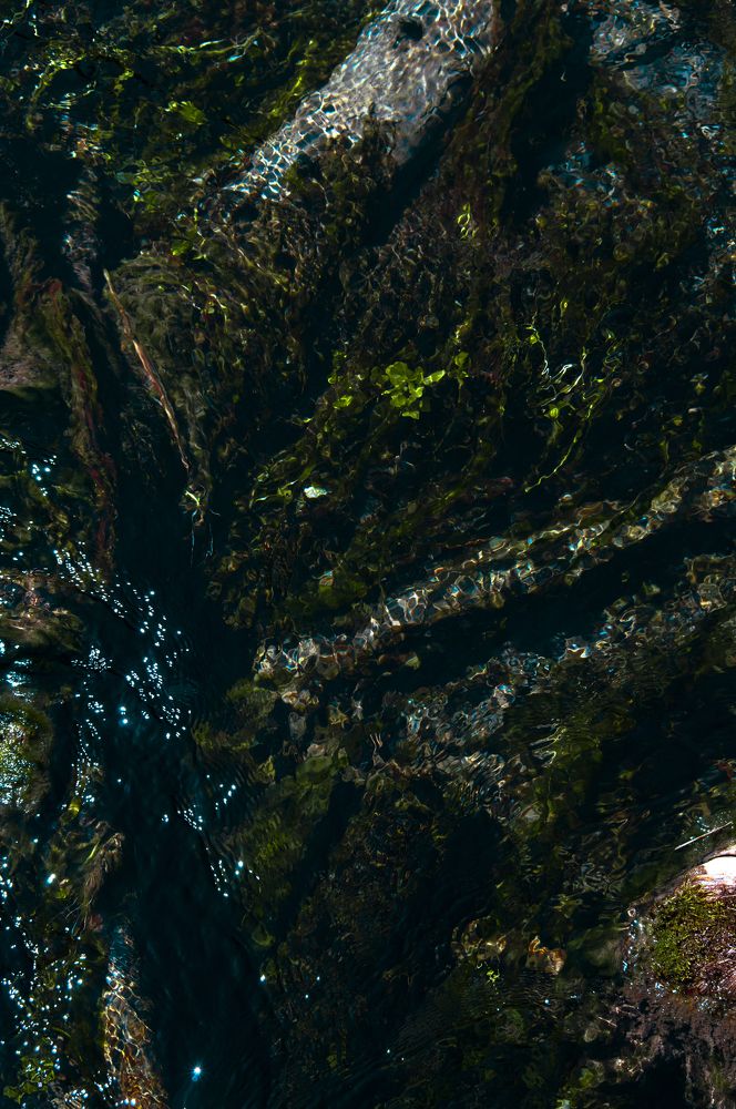 Photograph by Асель Тойдонова