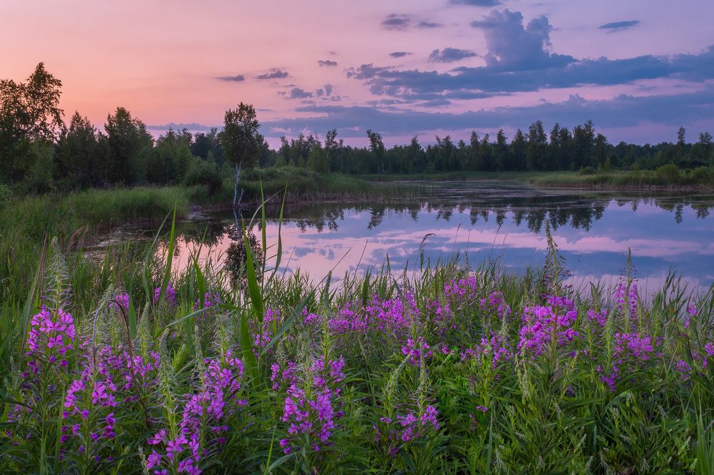 Летний вечер.