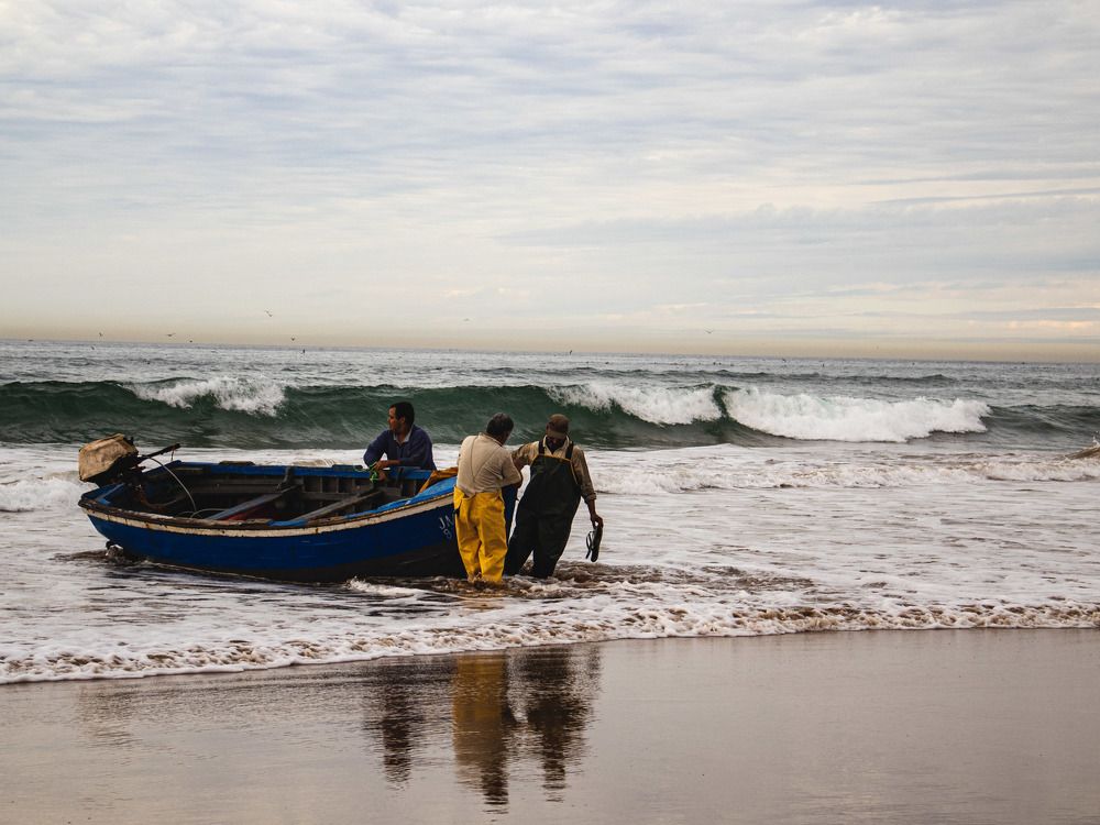 Photograph by Youssef ABOU EL ANOUAR