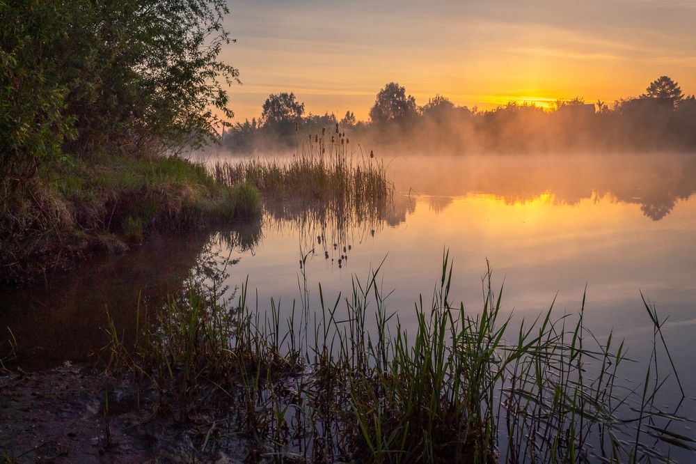 Прохладное майское утро на реке Тобол.