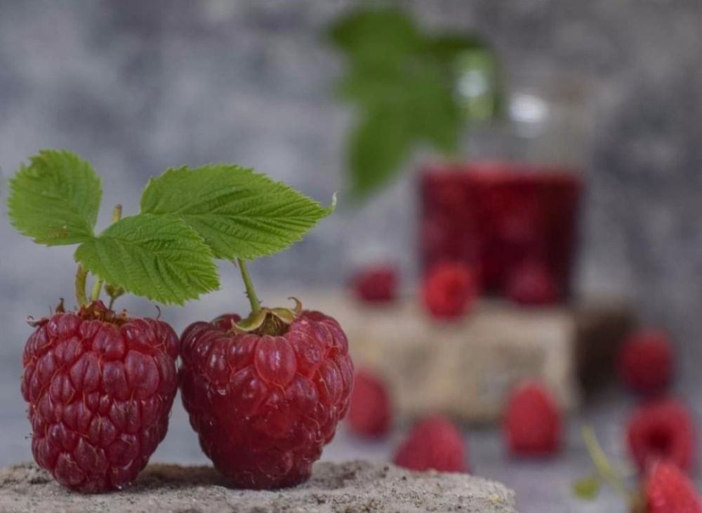 Photograph by Inga Zhvania