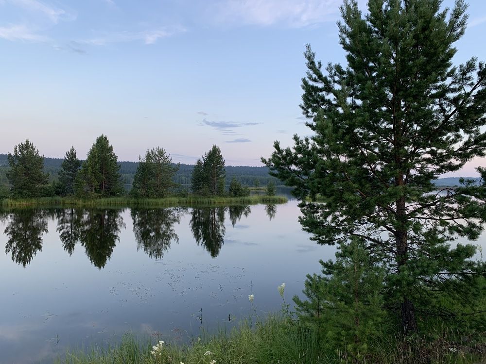 Photograph by Светлана Пономаренко