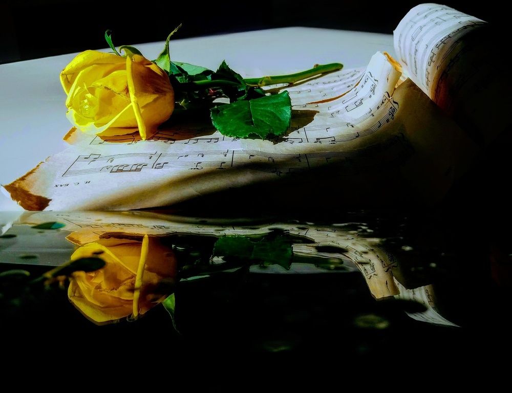 Photograph by Inga Zhvania