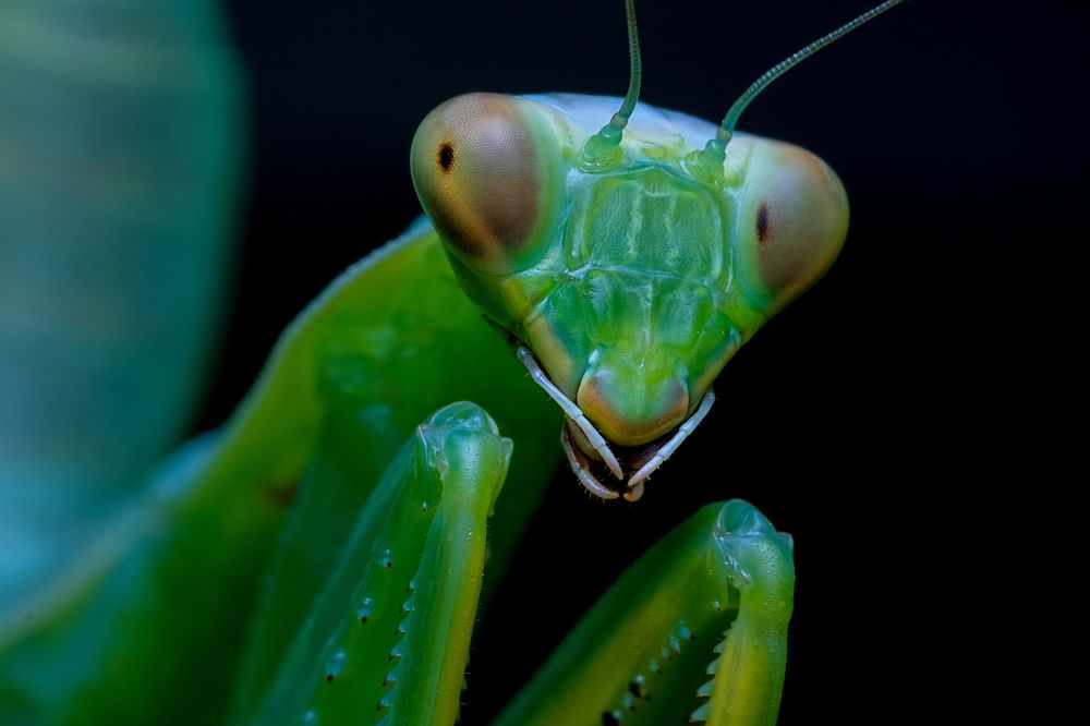 Photograph by Сергей Алтуфьев