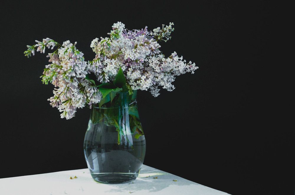 Photograph by Наталья Скиданова