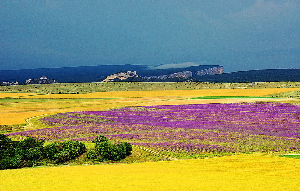 Photograph by  AlexSa