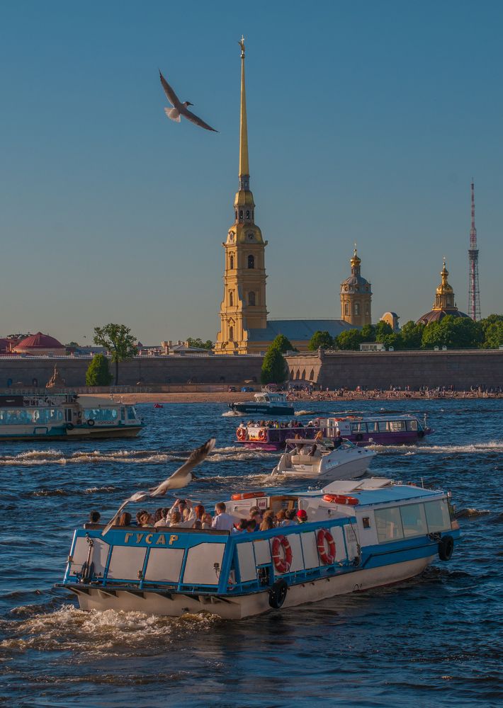 Ажиотаж на Неве