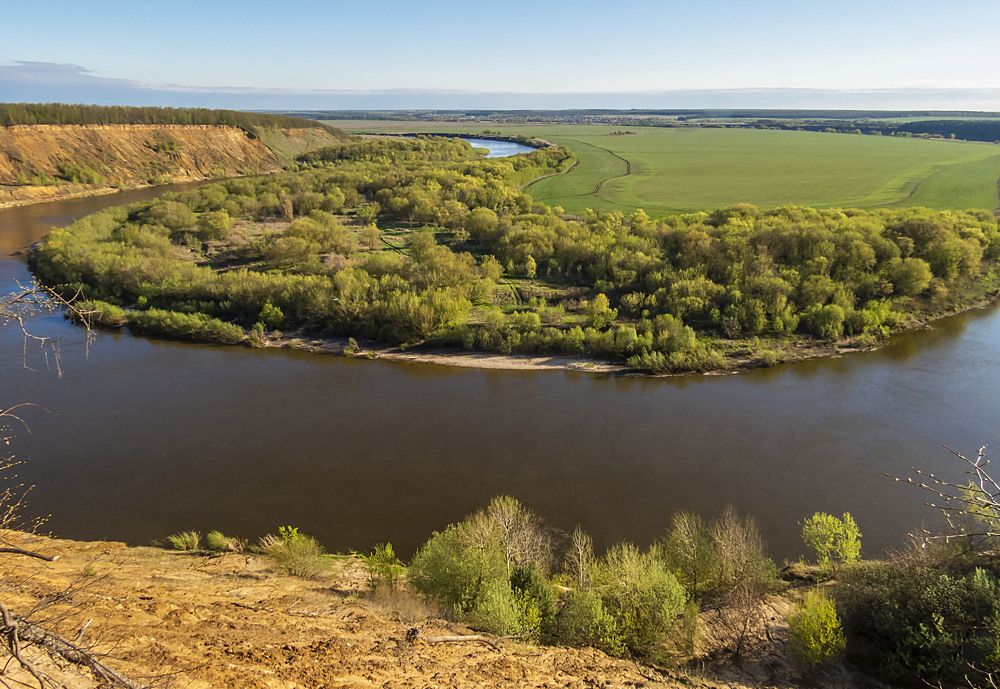 Кривоборье