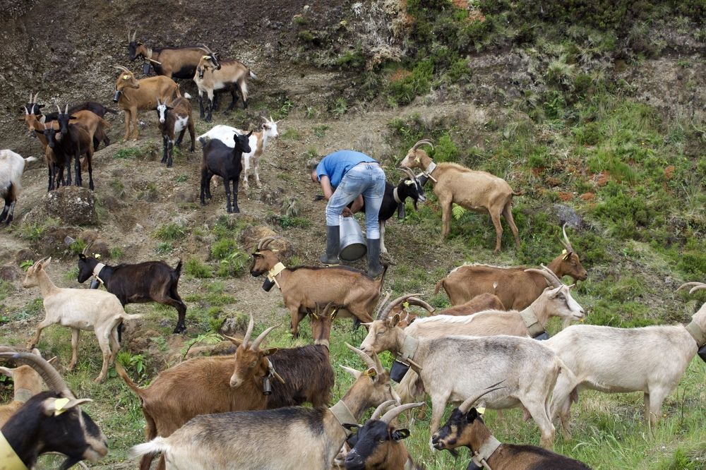 Photograph by Olga Pereira