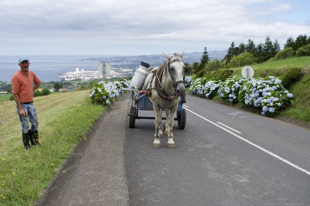 Photograph by Olga Pereira