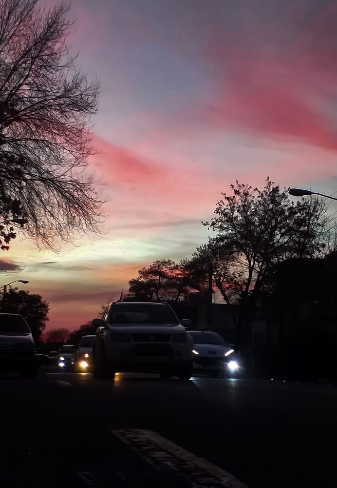 Photograph by Amin Hadadian