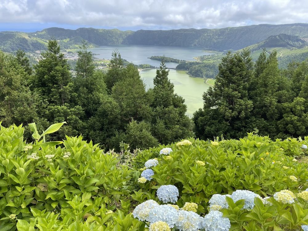 Photograph by Olga Pereira