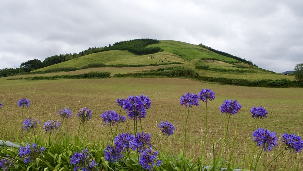 Photograph by Olga Pereira