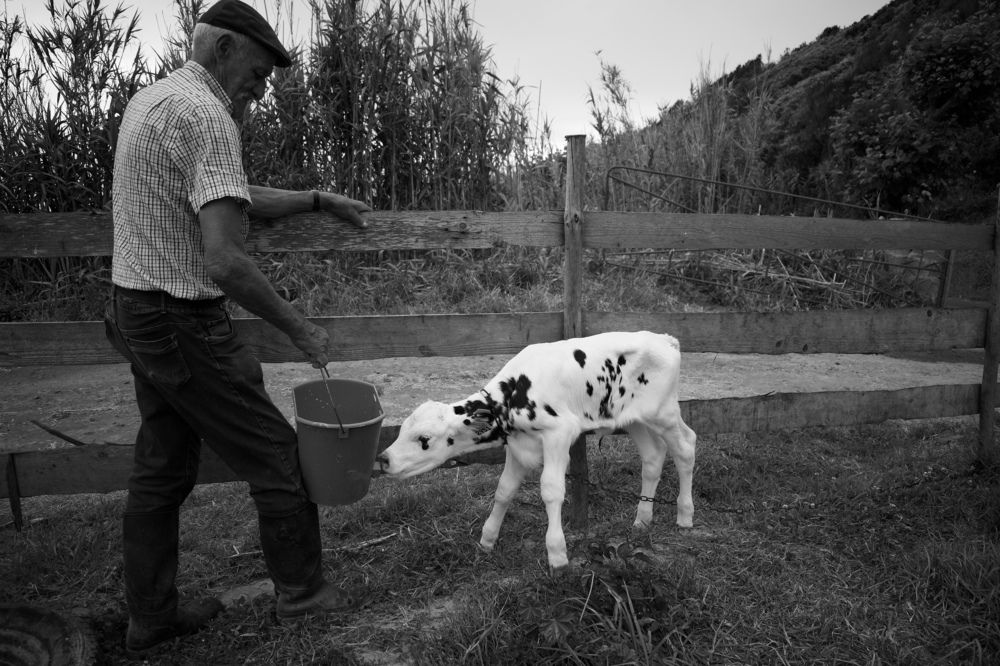 Photograph by Olga Pereira