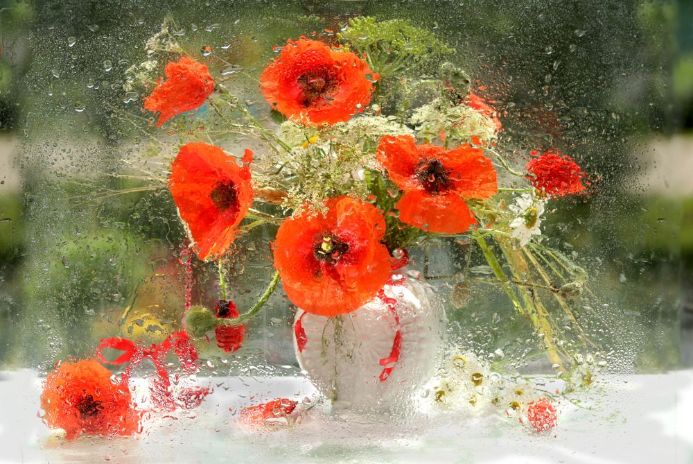 Photograph by Шруб (Беляева) Татьяна