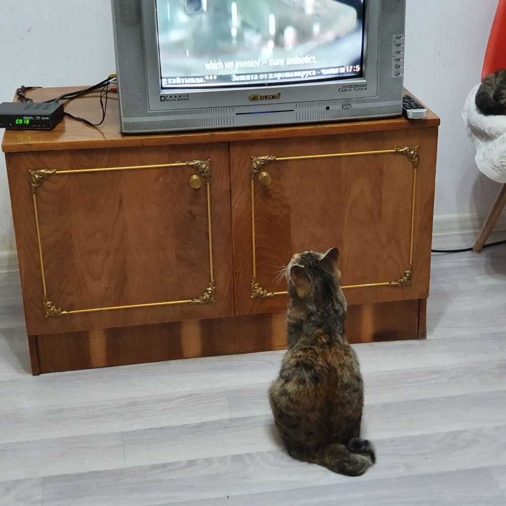 Photograph by Валентина Галич