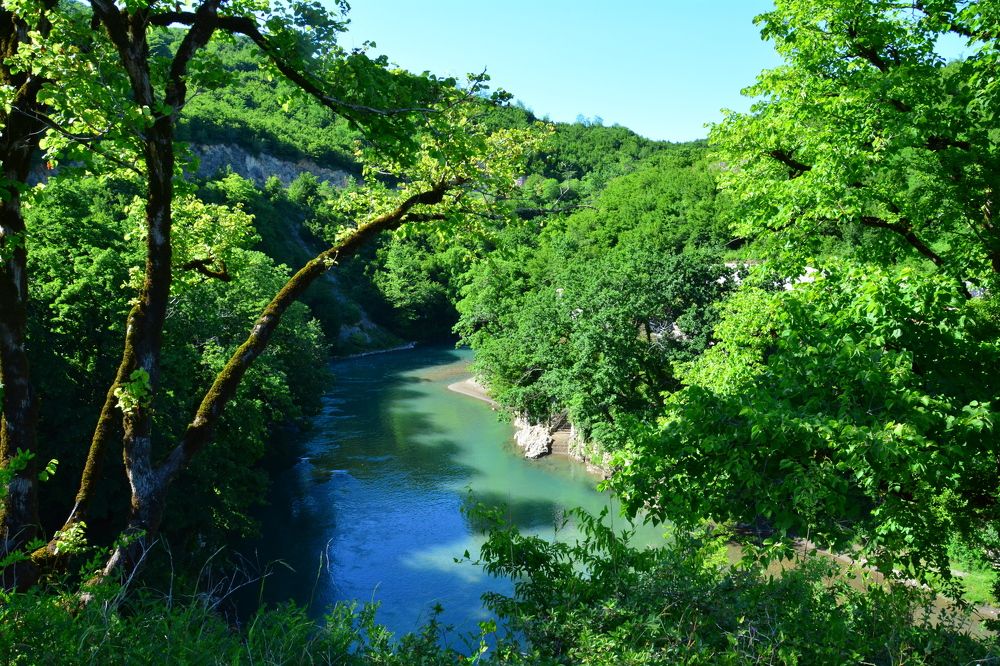 Photograph by Shota Gogoli