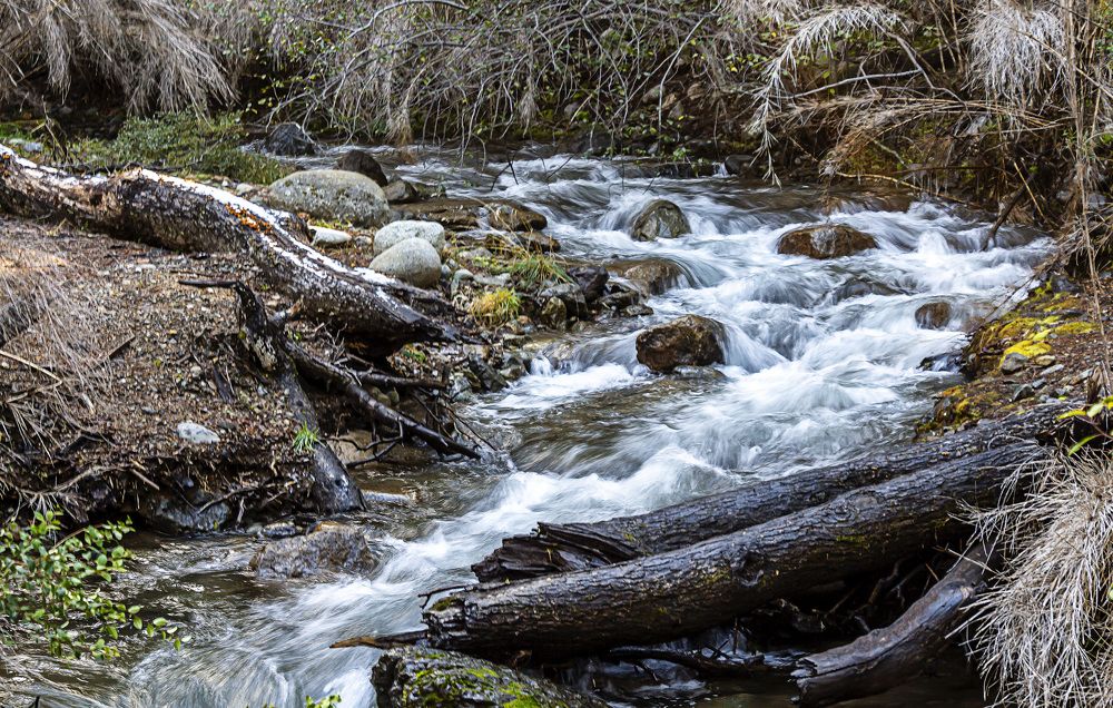 Photograph by Monica Macri