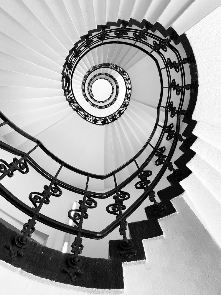 Аккуратная улитка