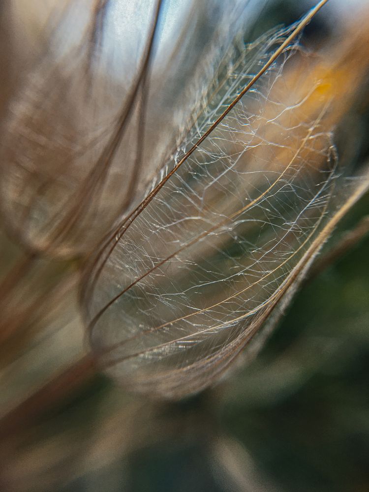 Photograph by Юлія Доманська