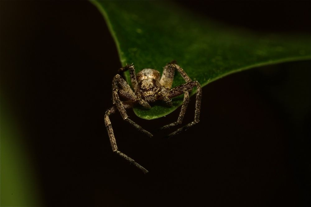 Photograph by Роман Турсков