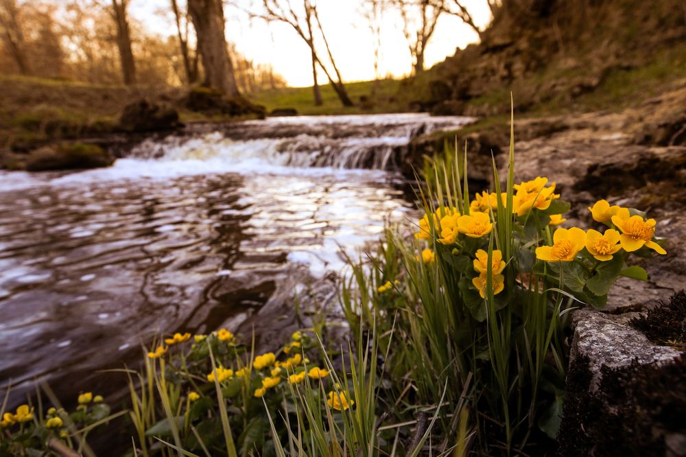 Photograph by Dmitri Sehhavtsov
