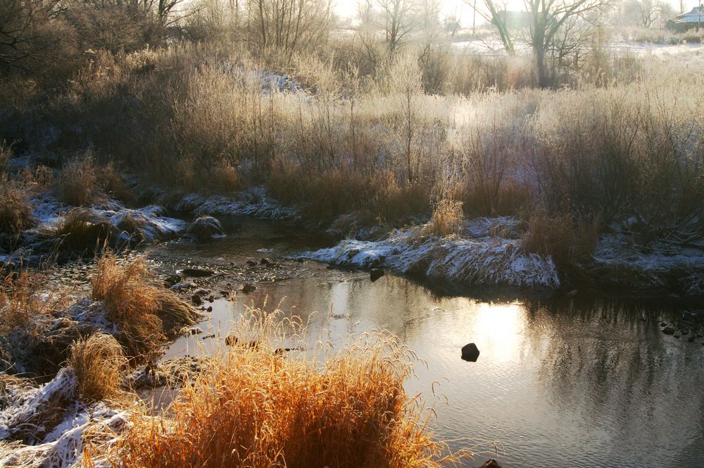 Photograph by Ольга Заповедная