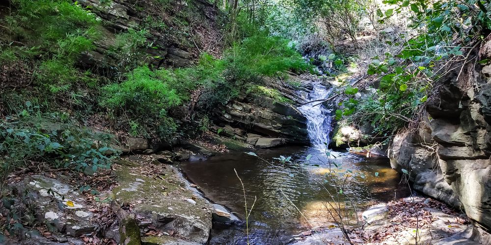Фотография автора (CID No. 10311001474) Tshering Gyeltshen