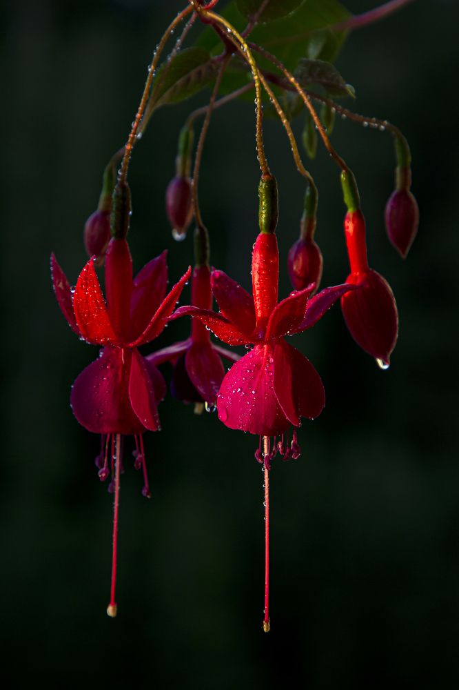 Photograph by Олег Тетерин