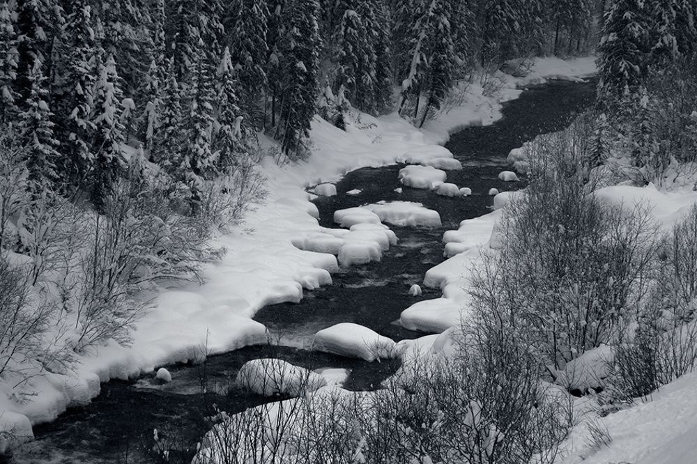 Photograph by Олег Тетерин