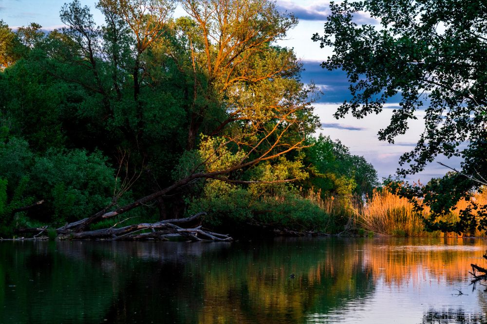 Photograph by Дмитрий Тимин