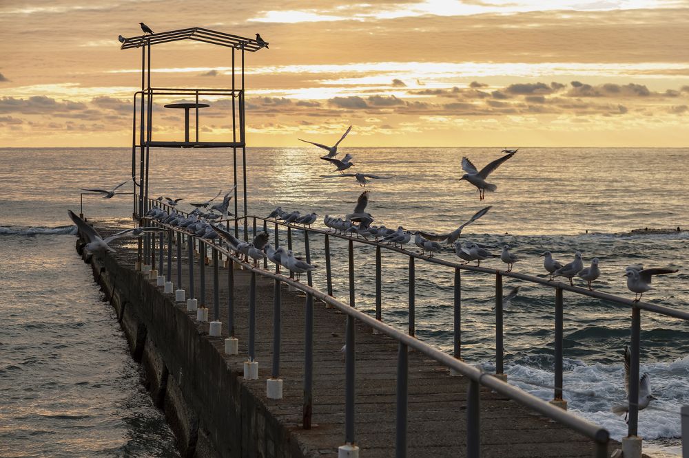 Photograph by Виктория Торгашова