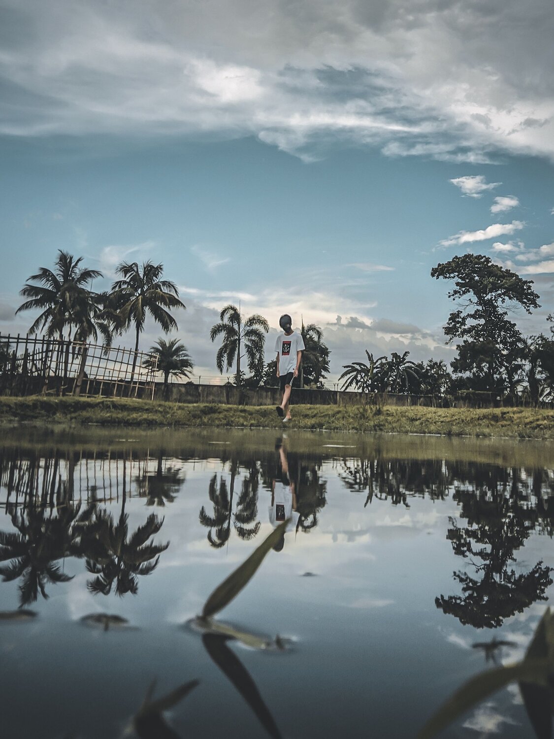 Photo #6291820