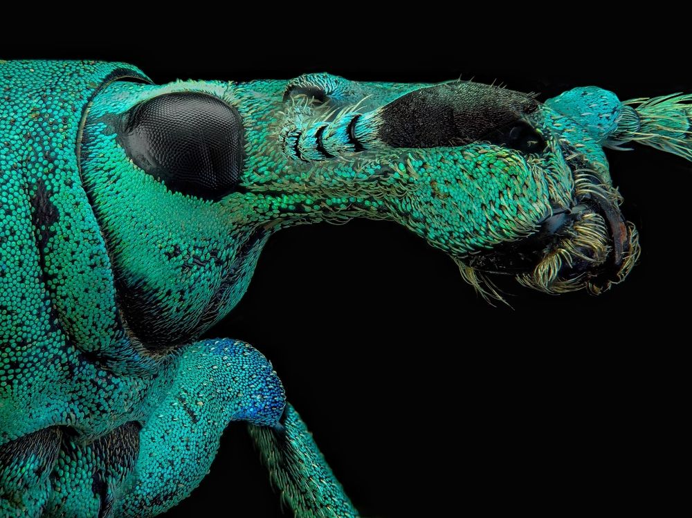 Photograph by Arif Nur Hidayat