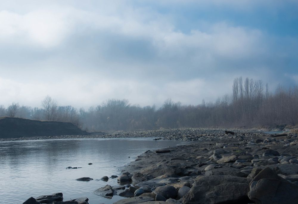 Photograph by Елена Плотникова