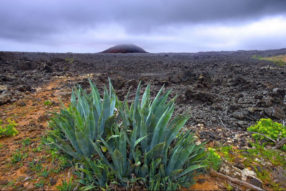 Lanzarote : volcanoes island