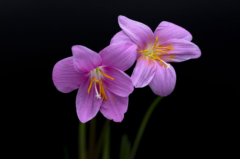 Photograph by Олег Тетерин