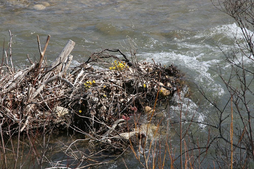 Photograph by иван антоненко